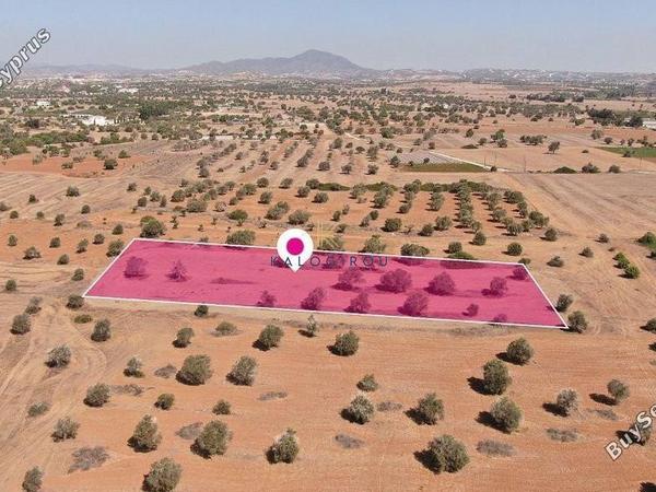 land for sale mazotos larnaca 1221378 image 7235295
