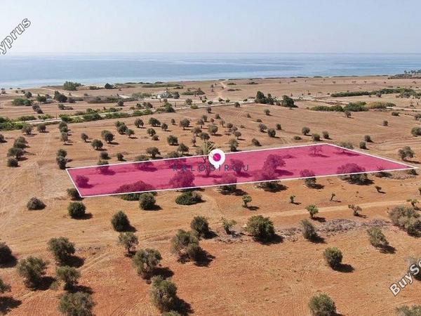 land for sale mazotos larnaca 1221378 image 7235297