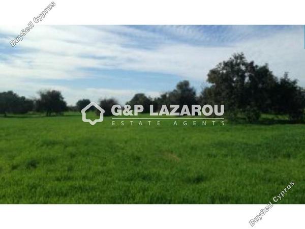 land for sale mazotos larnaca 1689378 image 5343303