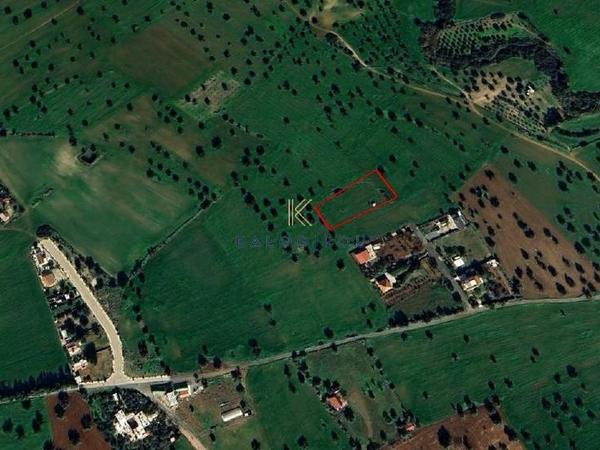 land for sale mazotos larnaca 1731478 image 5722565