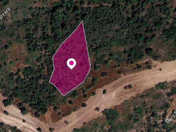 land for sale neo chorio paphos 1897478 image 14205848