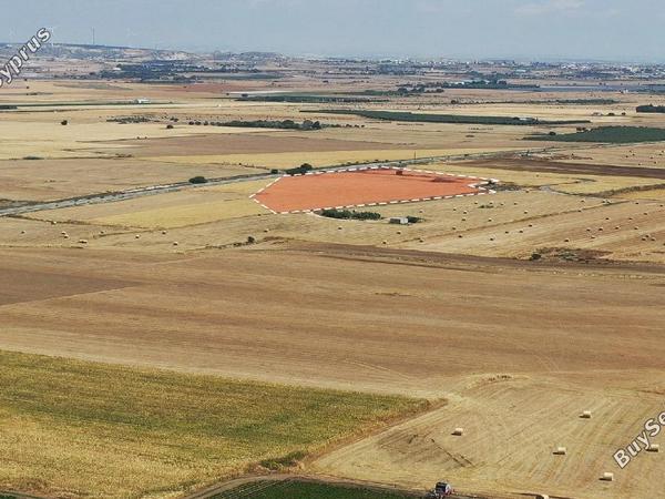 plot for sale pervolia larnaca 8633478 image 16192055
