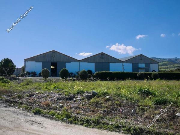 studio warehouse for sale poli chrysochous paphos 1355478 image 5634556