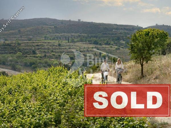 4 bedroom detached house sold tsada paphos 1892578 image 17219831