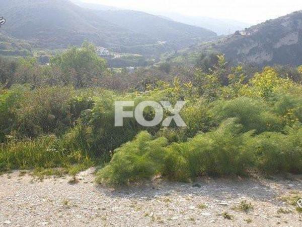 land for sale kalavasos larnaca 1146578 image 5509036