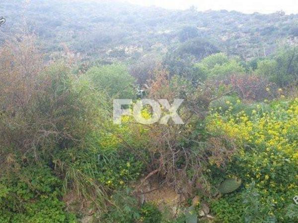 land for sale kalavasos larnaca 1146578 image 5509039