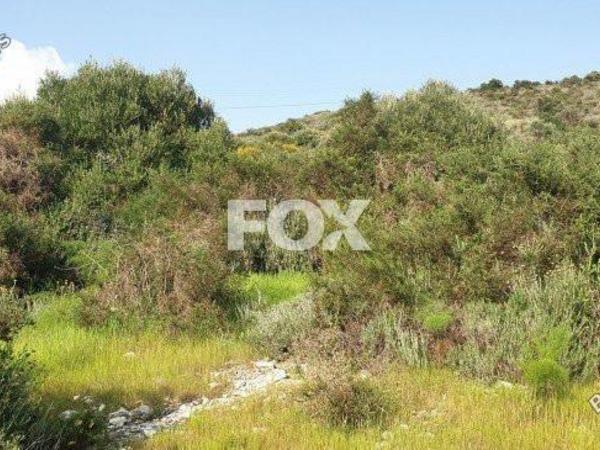 land for sale kalavasos larnaca 1146578 image 5509044