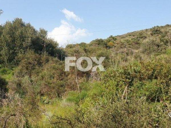 land for sale kalavasos larnaca 1146578 image 5509045