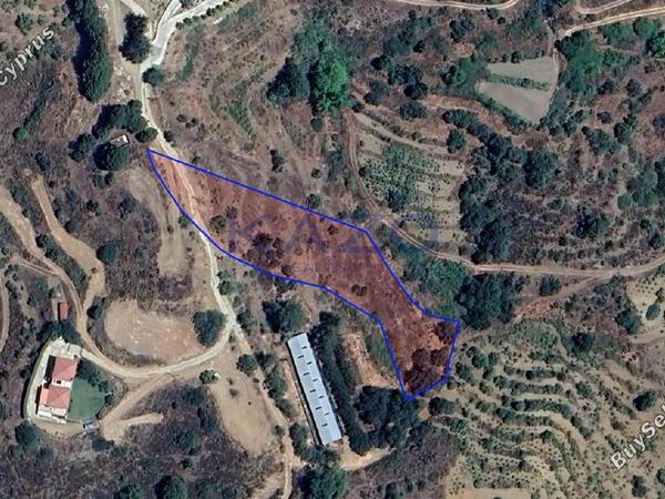 land for sale zoopigi limassol 7805578 image 10596443