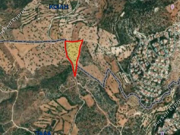 plot for sale koili paphos 7862578 image 14232741