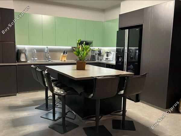 4 bedroom detached house for rent ypsonas limassol 7708678 image 17255162