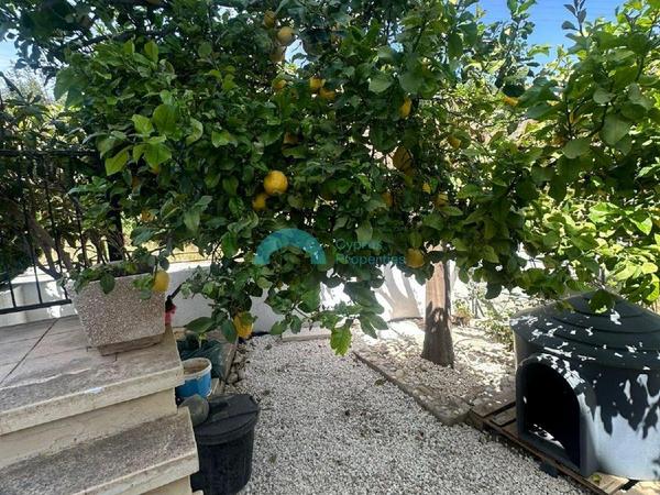 5 bedroom detached house for sale lofos tala paphos 8658678 image 16022800