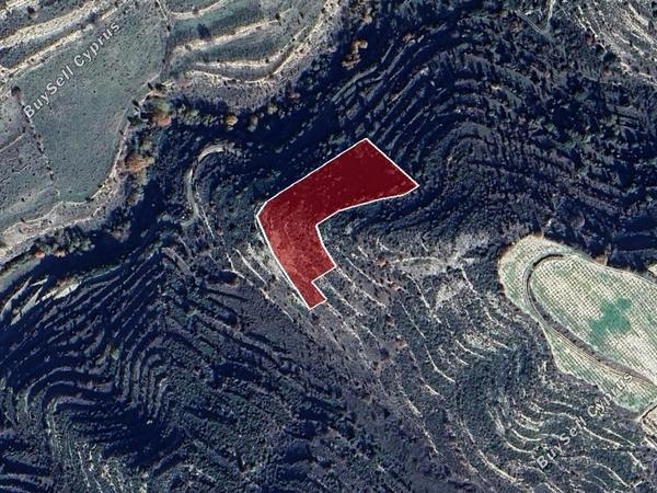 land for sale pachna limassol 8785678 image 16656259