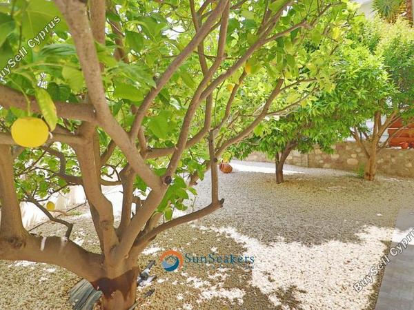 2 bedroom detached house for sale peyia paphos 8570778 image 15928279
