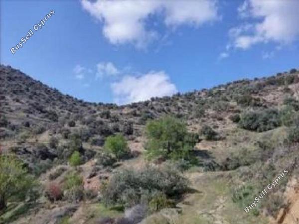 land for sale kapileio limassol 8628778 image 15864104