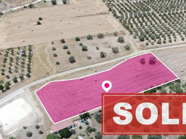land for sale analiontas nicosia 1116878 image 2861684