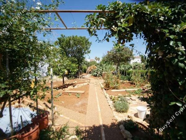 5 bedroom detached house for sale coral bay paphos 7739978 image 12581362