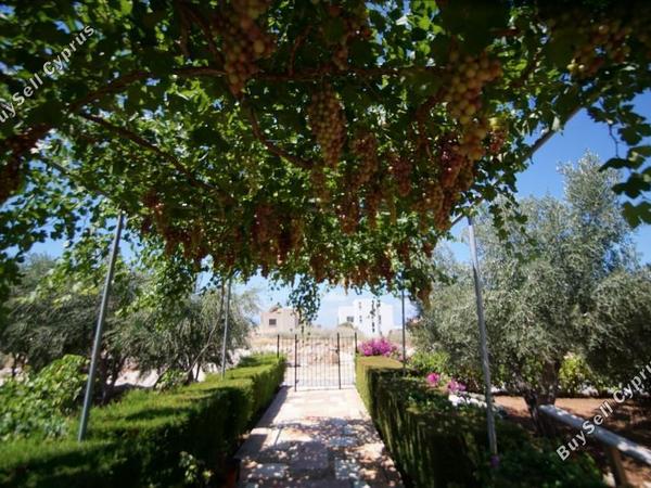 5 bedroom detached house for sale coral bay paphos 7739978 image 12581379