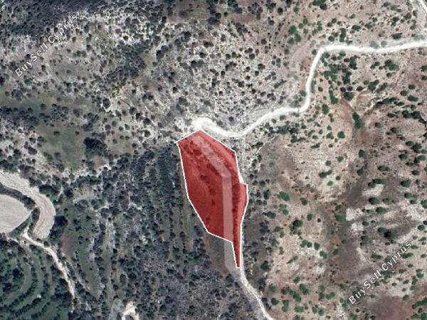 land for sale amargeti paphos 873978 image 15598670