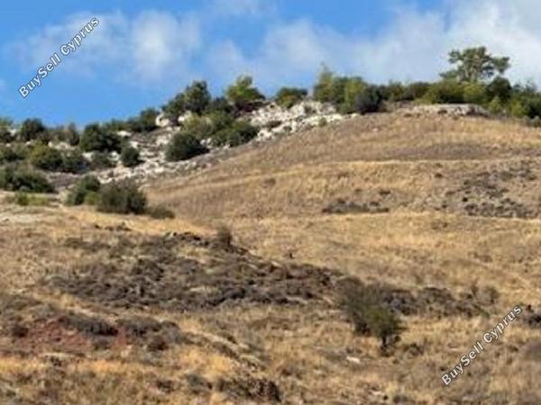 land for sale amargeti paphos 873978 image 17102721