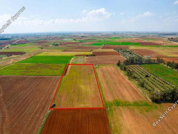 land for sale frenaros famagusta 839978 image 861550