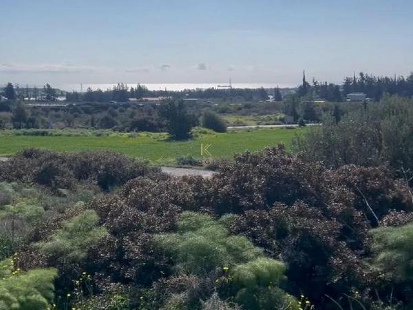 land for sale kalavasos larnaca 1637978 image 5708538