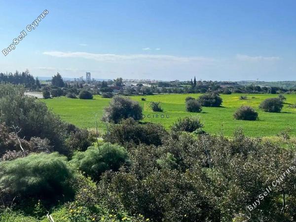 land for sale kalavasos larnaca 1637978 image 5708539