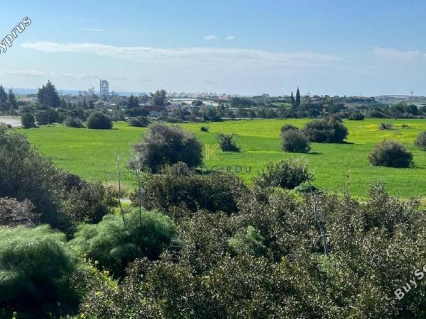 land for sale kalavasos larnaca 1637978 image 5708540