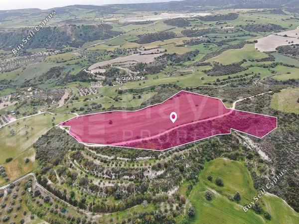 land for sale alaminos larnaca 7872088 image 13297485