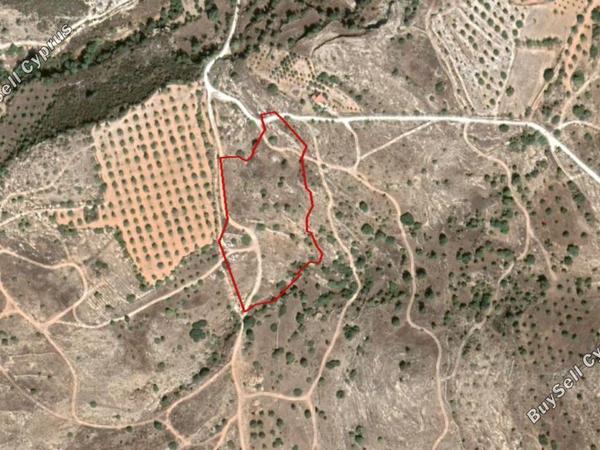 land for sale paphos municipality paphos 828088 image 16266221