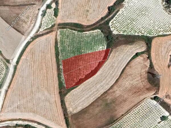 land for sale stroumbi paphos 952088 image 857872