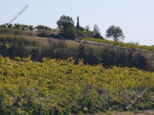 land for sale stroumbi paphos 952088 image 857875