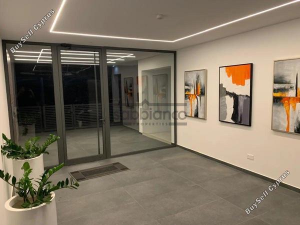 2 bedroom apartment for rent makedonitissa nicosia 8741188 image 16389868