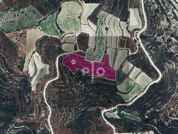 land for sale koilani limassol 8275188 image 15158169