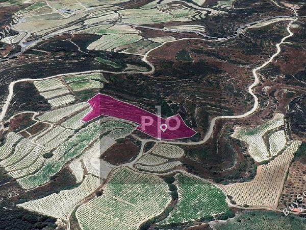 land for sale koilani limassol 8275188 image 15158170