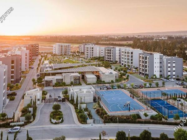 studio apartment for rent zakaki limassol 8941188 image 17742854