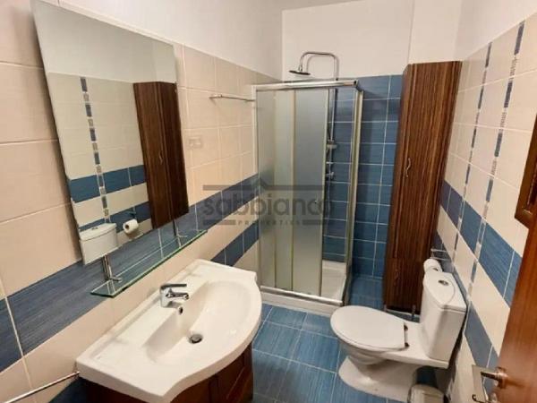 3 bedroom detached house for rent erimi limassol 8753288 image 16509192