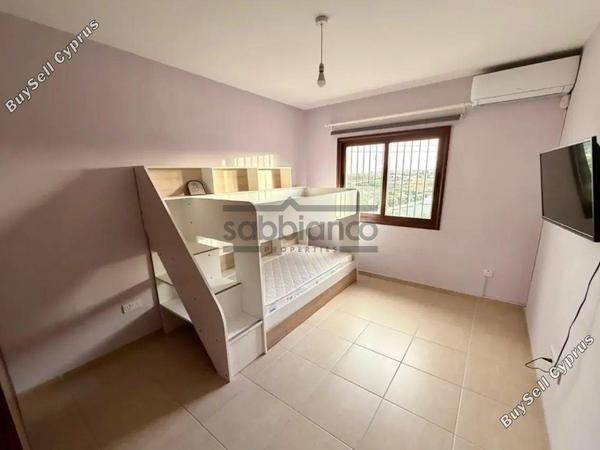 3 bedroom detached house for rent erimi limassol 8753288 image 16509200
