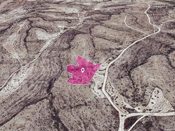 land for sale kato drys larnaca 7872288 image 14116041