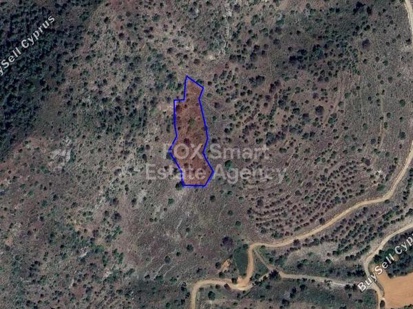 land for sale klirou nicosia 7756288 image 10321884