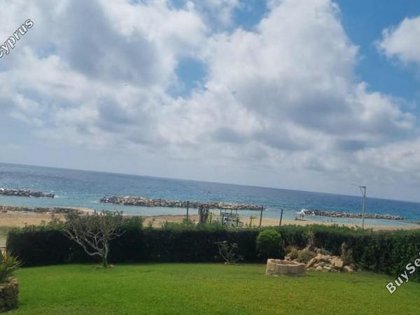 2 bedroom detached house for sale chlorakas paphos 8716388 image 16557022