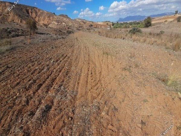 land for sale palaiometocho nicosia 1230388 image 16180409