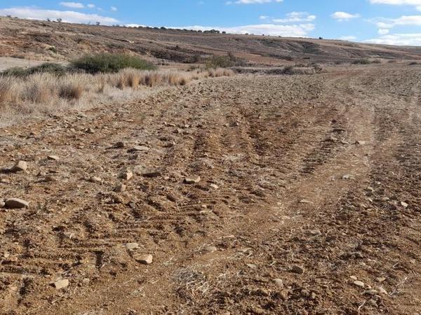 land for sale palaiometocho nicosia 1230388 image 16180410