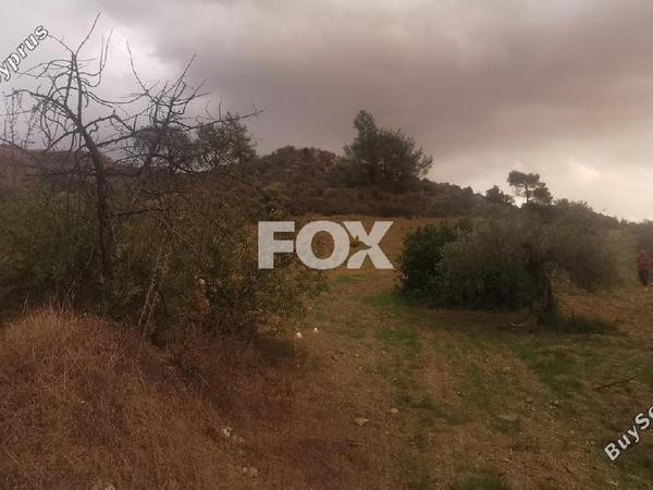 land for sale pyrgos limassol limassol 8791388 image 16674754