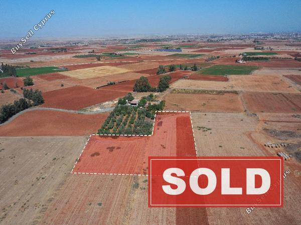 land sold avgorou famagusta 940388 image 1336895