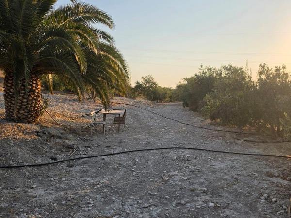 plot for sale aradippou larnaca 8936388 image 17639876
