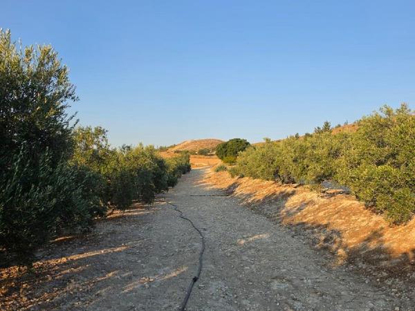 plot for sale aradippou larnaca 8936388 image 17639881