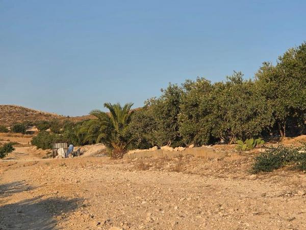 plot for sale aradippou larnaca 8936388 image 17639884