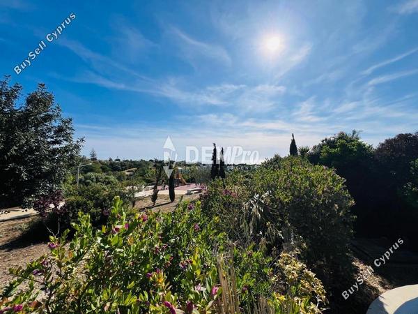 3 bedroom detached house for sale chlorakas paphos 7812488 image 14024354