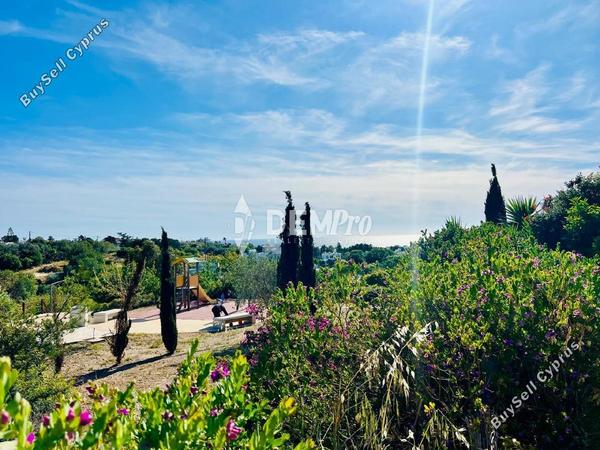 3 bedroom detached house for sale chlorakas paphos 7812488 image 14024355